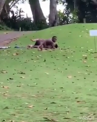 Busted Having Sex in Th Golf Court. Runs To Hide!